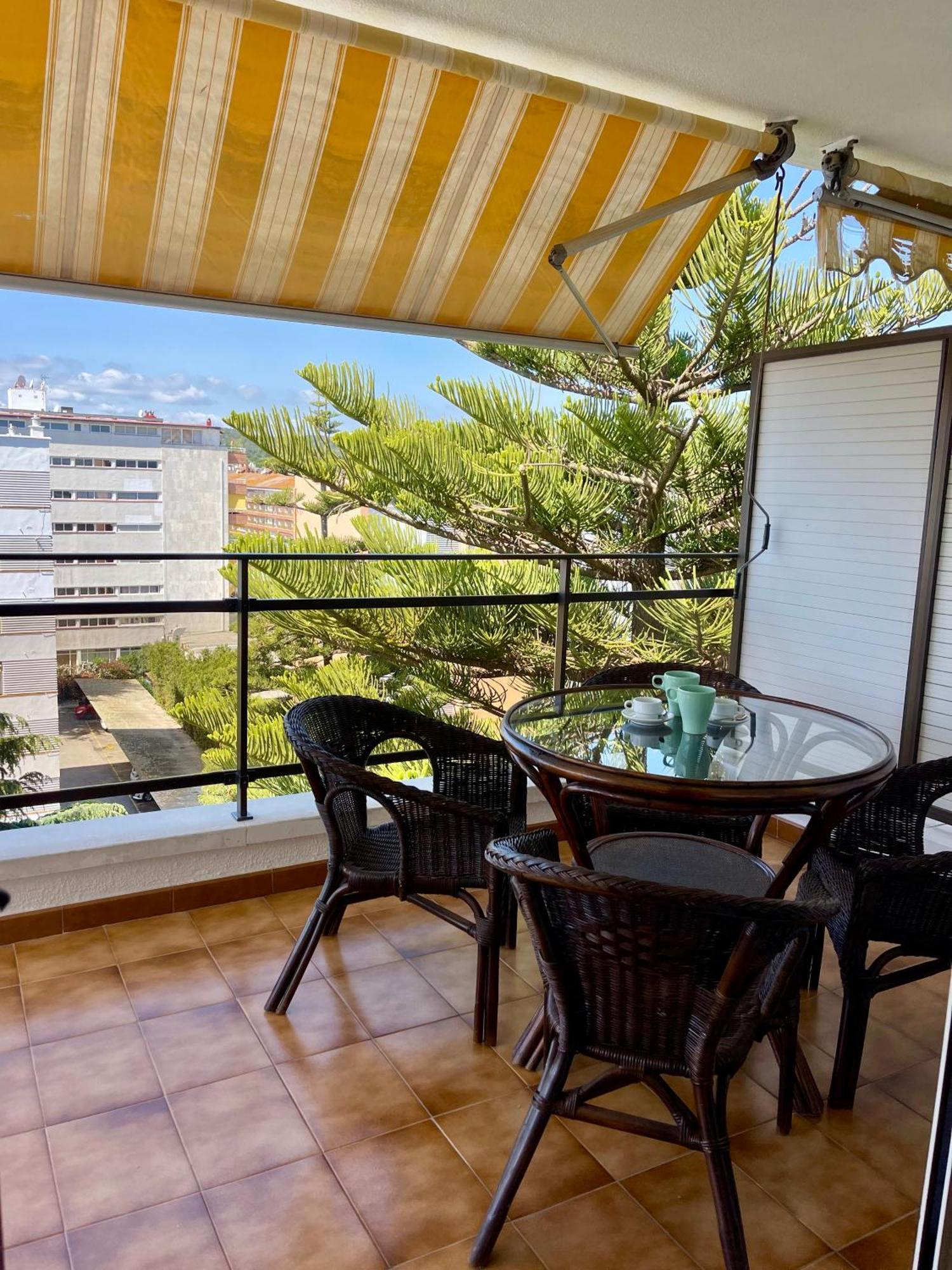 My Alva Park - 50m From The Apartamento *