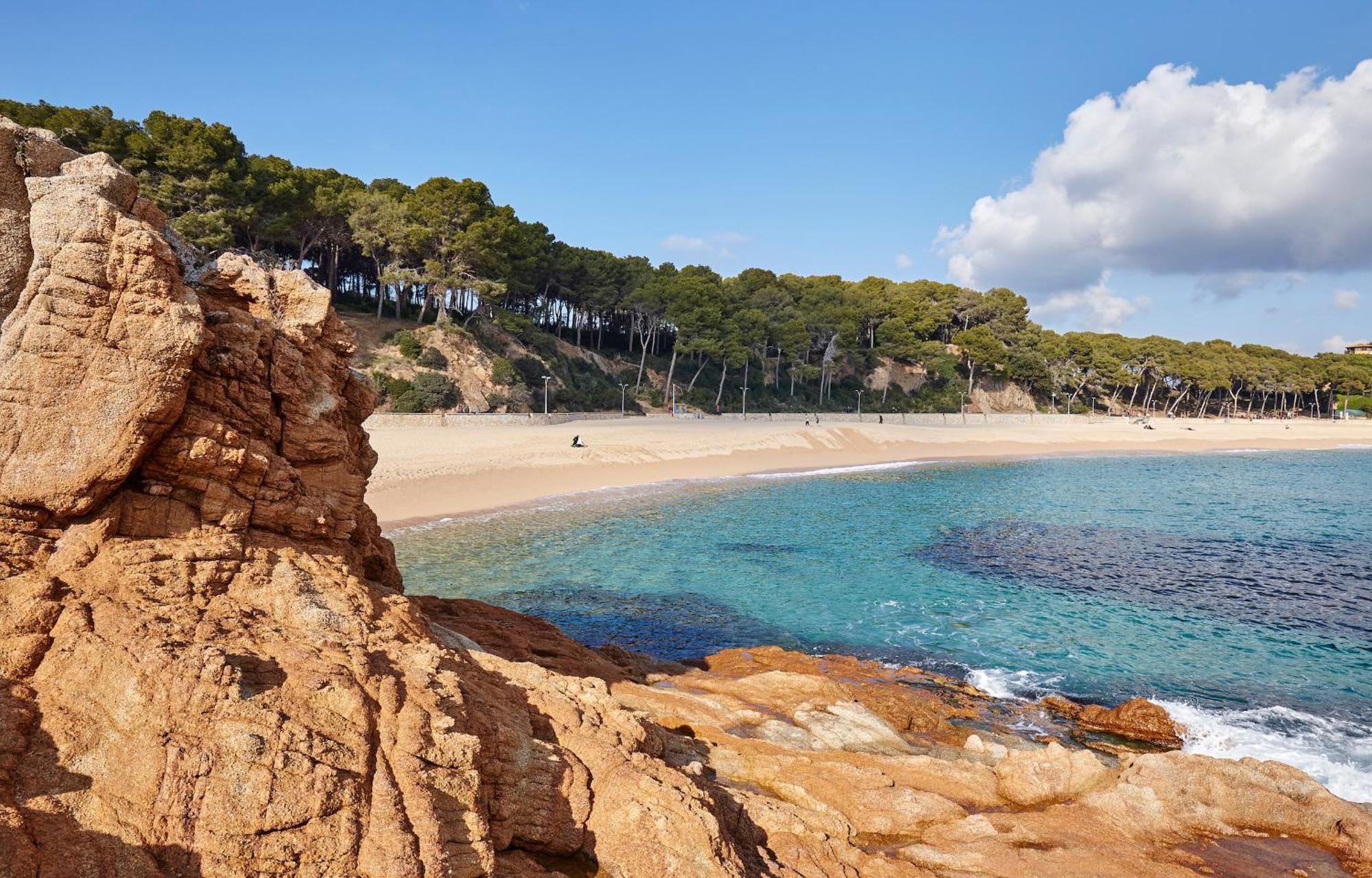 Apartamento My Alva Park - 50m From The Lloret de Mar